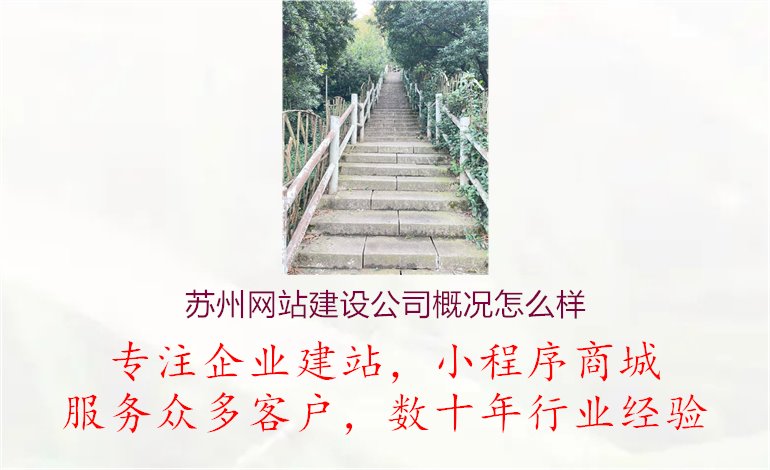 苏州网站建设公司概况怎么样.jpg