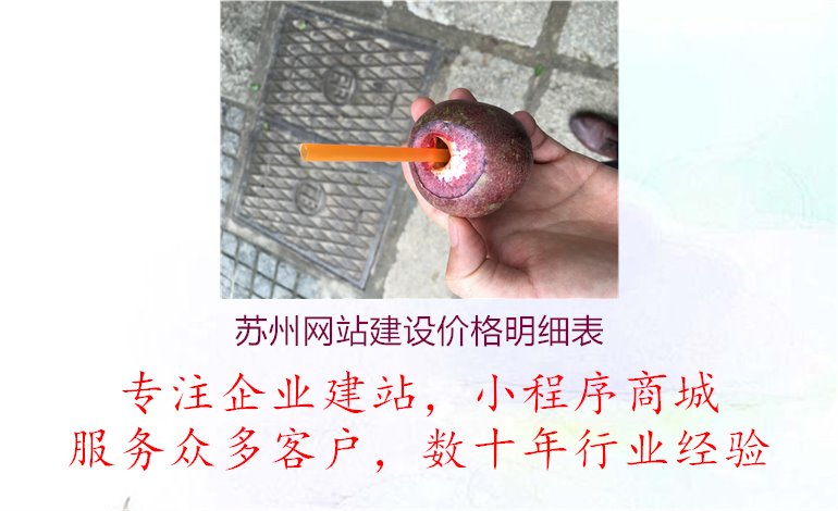 苏州网站建设价格明细表.jpg