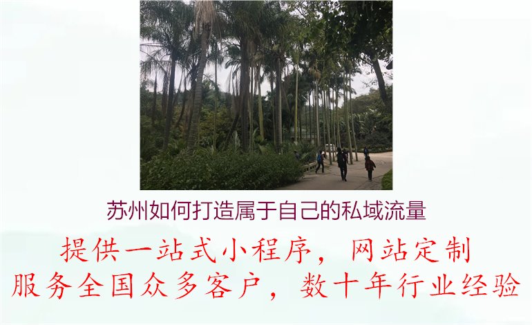 苏州如何打造属于自己的私域流量.jpg