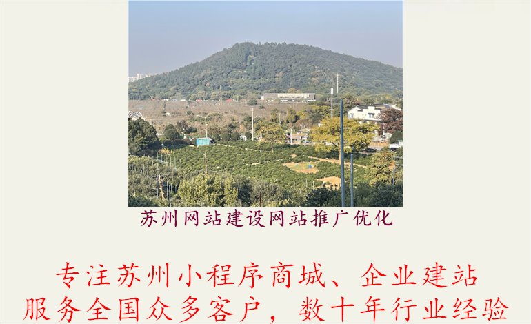 苏州网站建设网站推广优化.jpg