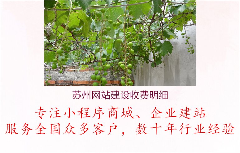 苏州网站建设收费明细1.jpg