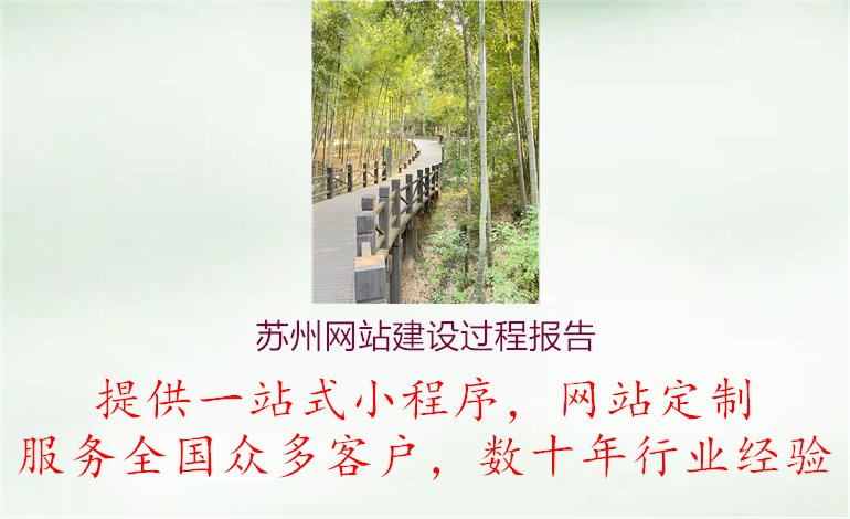 苏州网站建设过程报告3.jpg