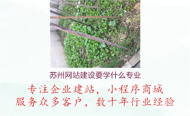 苏州网站建设要学什么专业3.jpg