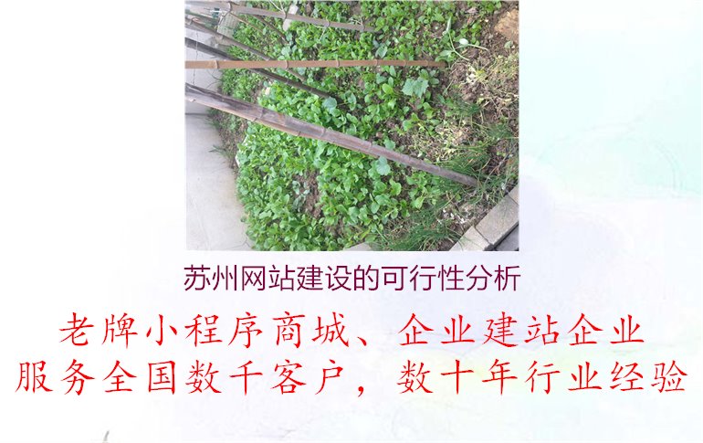 苏州网站建设的可行性分析2.jpg