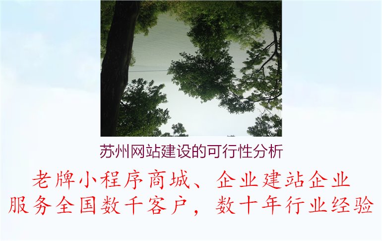 苏州网站建设的可行性分析1.jpg