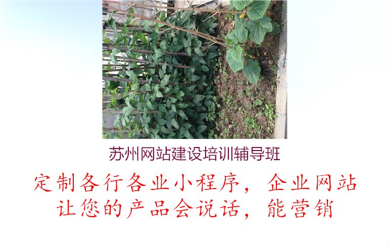 苏州网站建设培训辅导班1.jpg