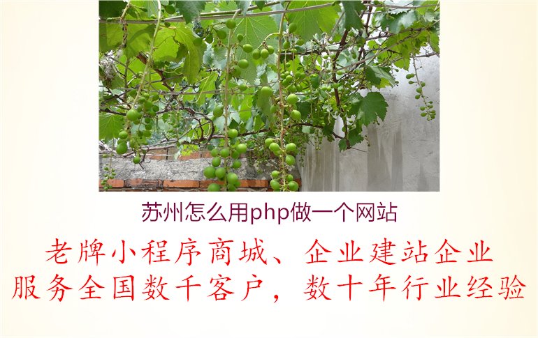 苏州怎么用php做一个网站3.jpg