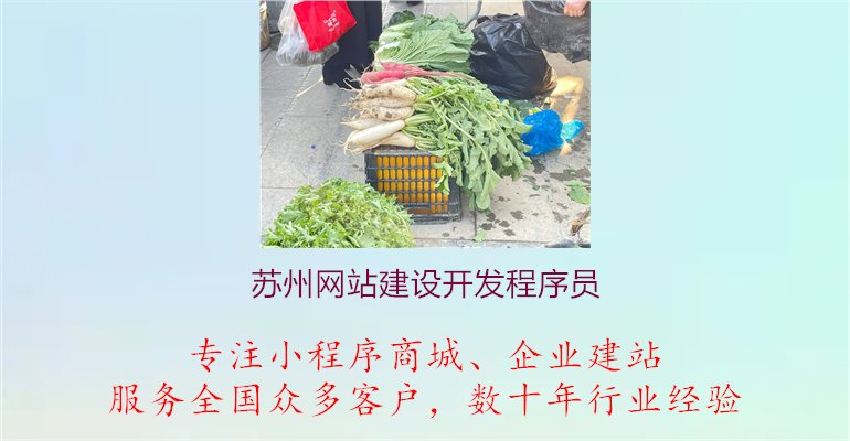 苏州网站建设开发程序员2.jpg