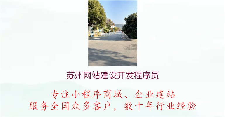 苏州网站建设开发程序员3.jpg