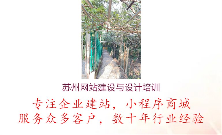 苏州网站建设与设计培训2.jpg