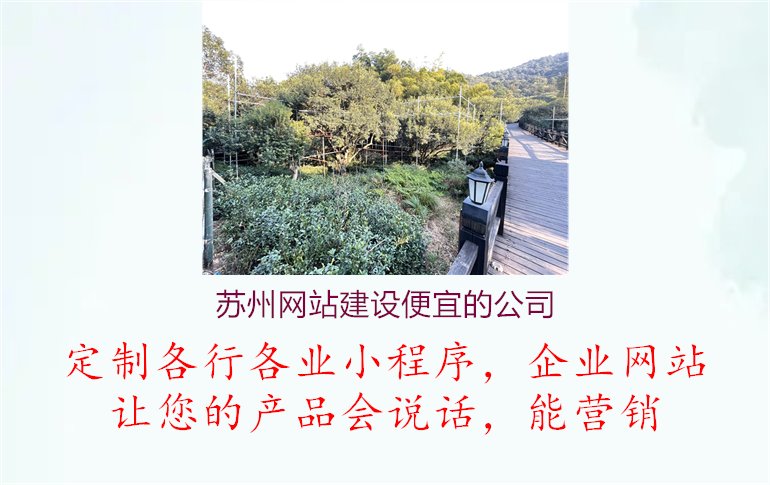 苏州网站建设便宜的公司3.jpg