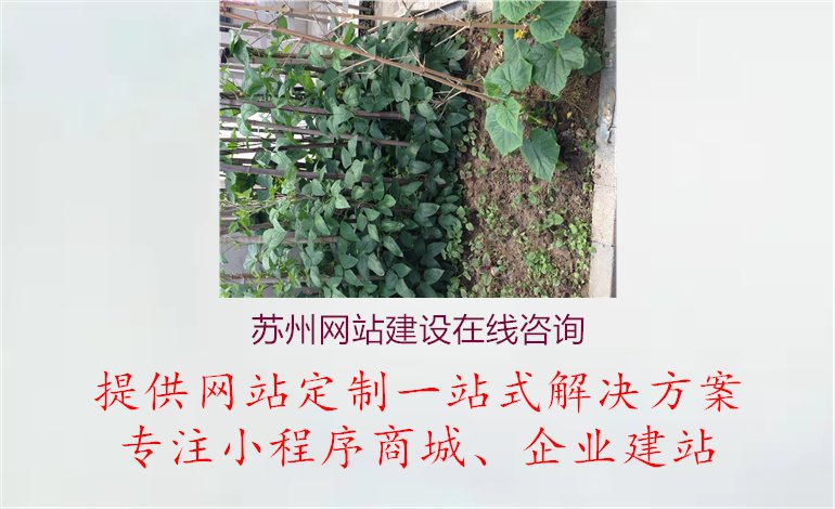 苏州网站建设在线咨询1.jpg