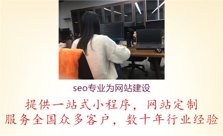 seo专业为网站建设1.jpg