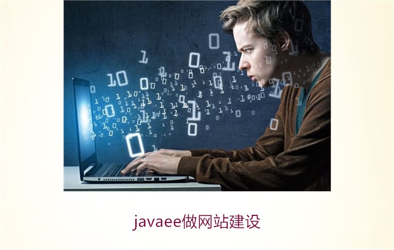 javaee做网站建设3.jpg