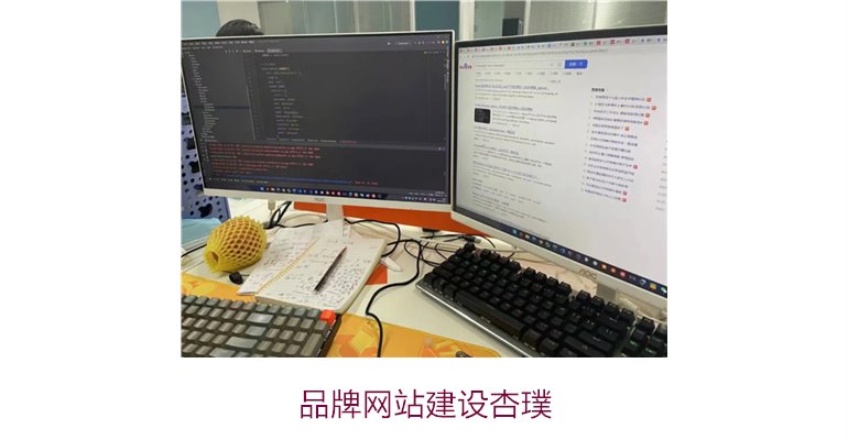 品牌网站建设杏璞2.jpg