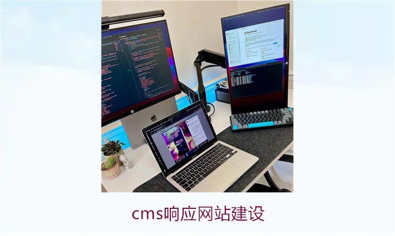 cms响应网站建设1.jpg